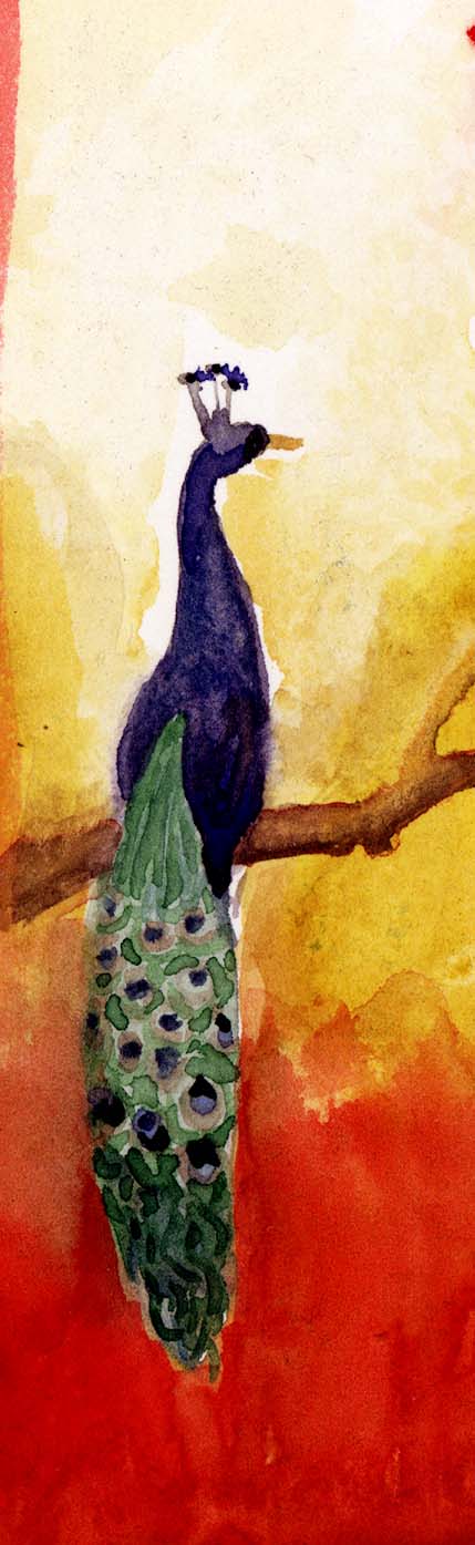 Peacock Perched on a Branch June 17, 2013 watercolor